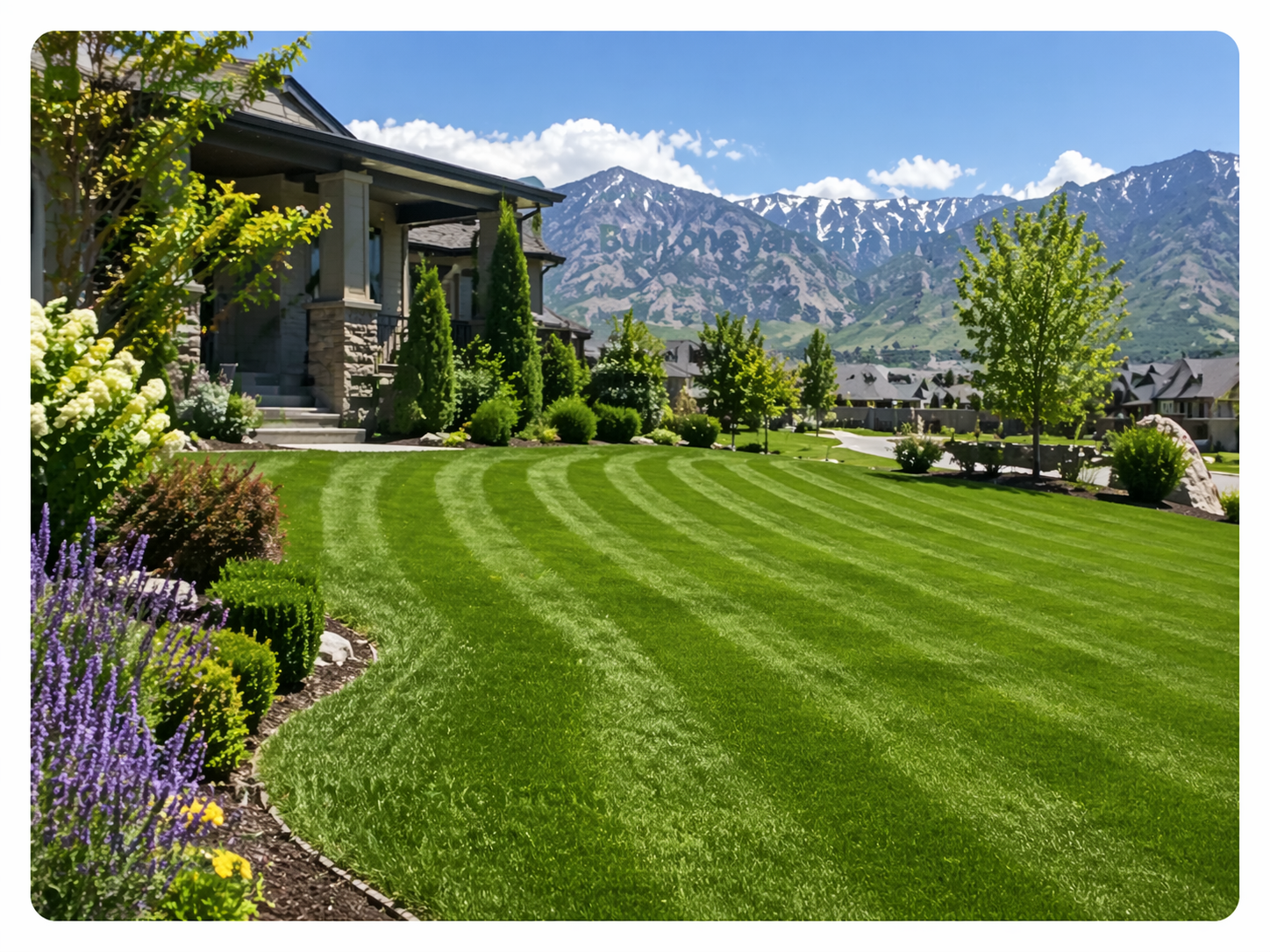 Manicured lawn in Ogden with Wasatch Mountains in the background